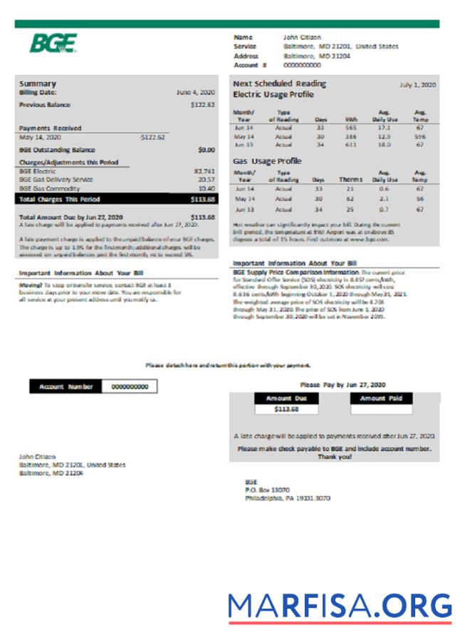 Realistic USA BGE gas and electric utility bill template